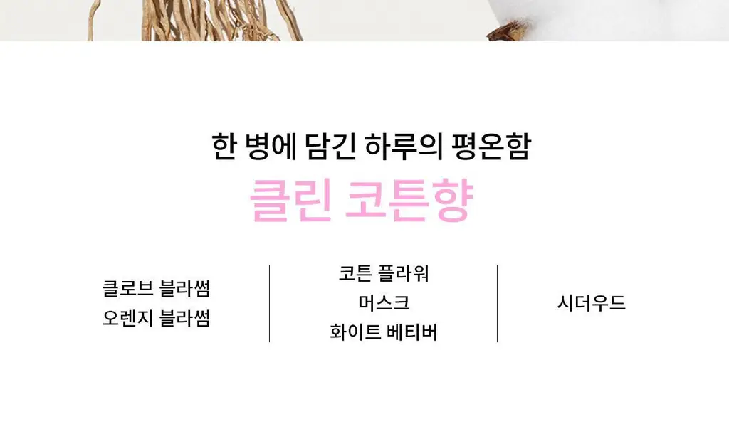 [클린코튼향]나르시소 로드리게즈 나르시소 래디언트 EDP (30ml/50ml) 상세페이지 12
